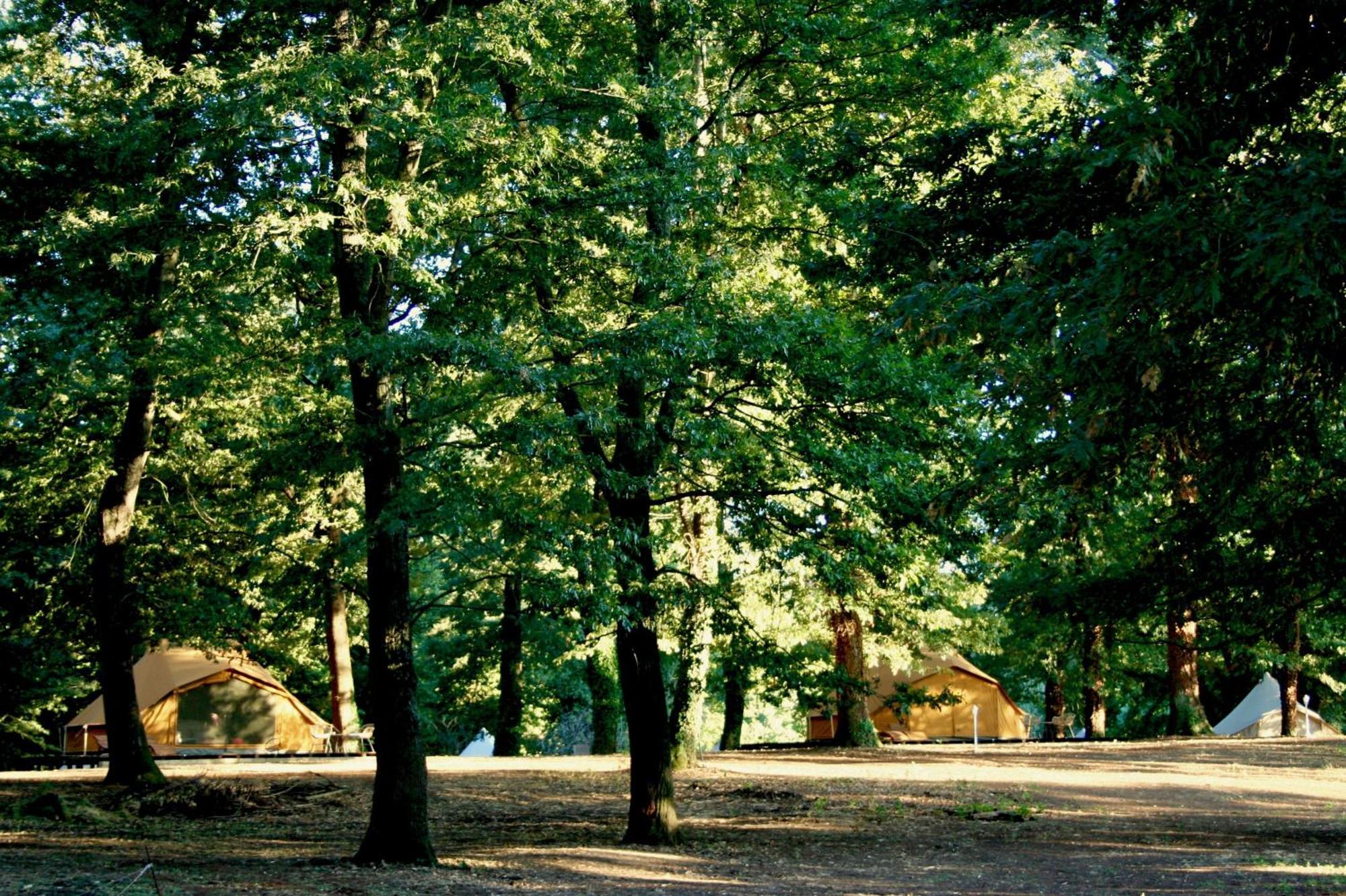 Oak Glamping Relax Luxury tent