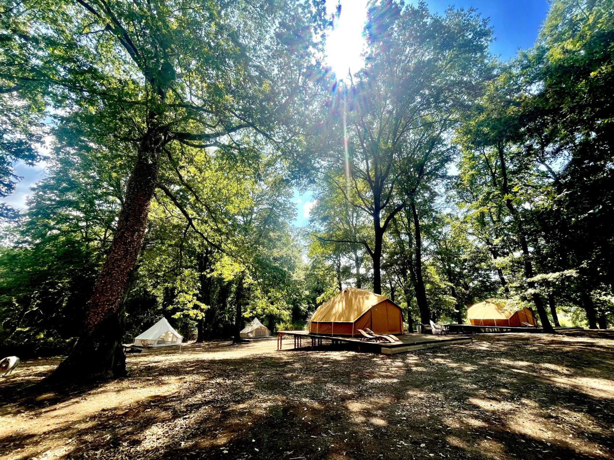 Luxury tent Oak Glamping Relax